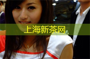 上海的城市文化与居民生活