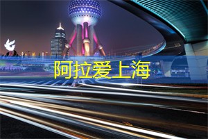 来自茶的温暖陪伴，汇聚上海茶庄的浓情